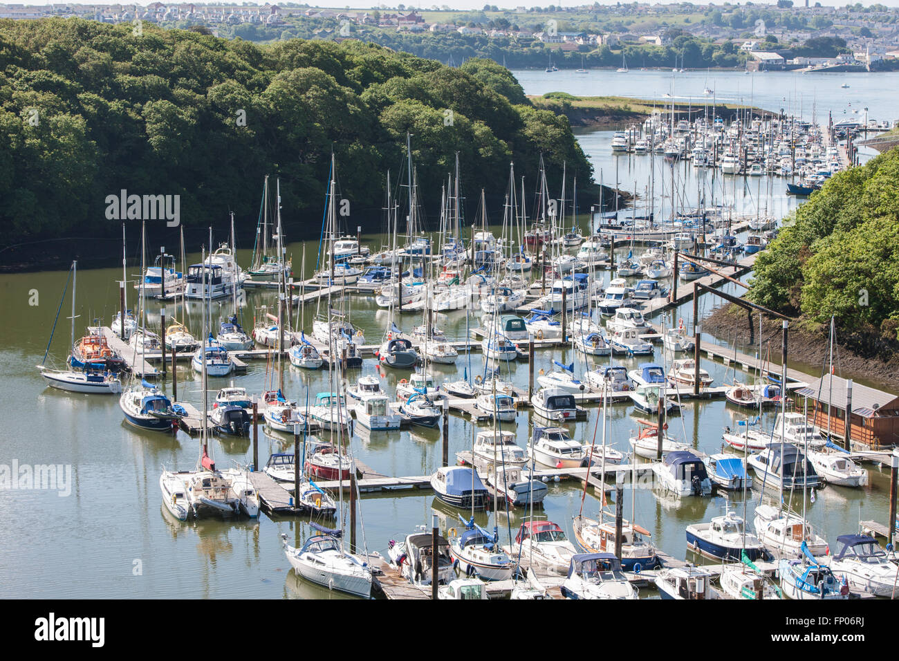 Boats at Neyland Marina,Harbour,Pembrokeshire,Wales,U.K Stock Photo Alamy