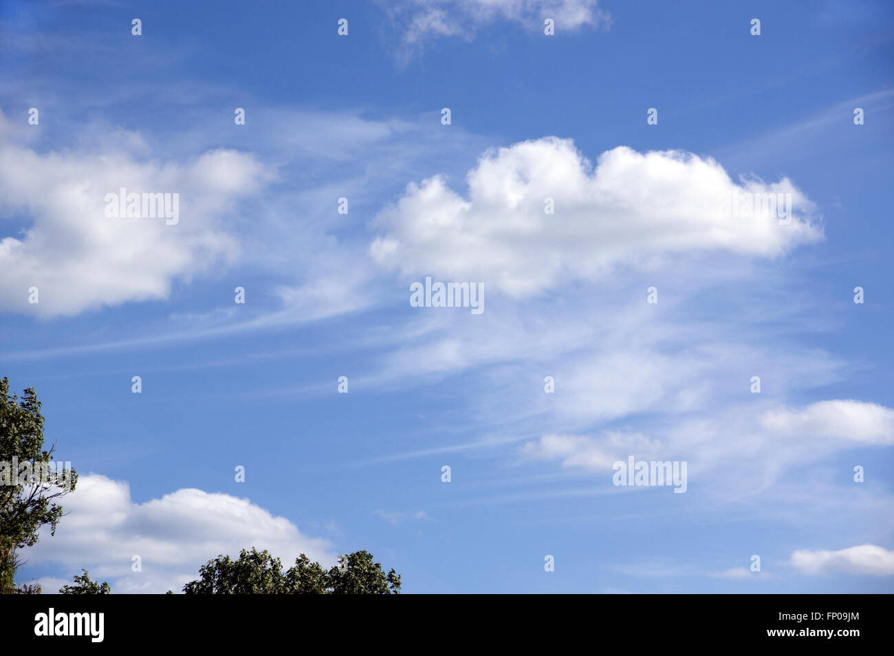 windswept skies, cumulus and cirrus clouds with fall streaks Stock Photo