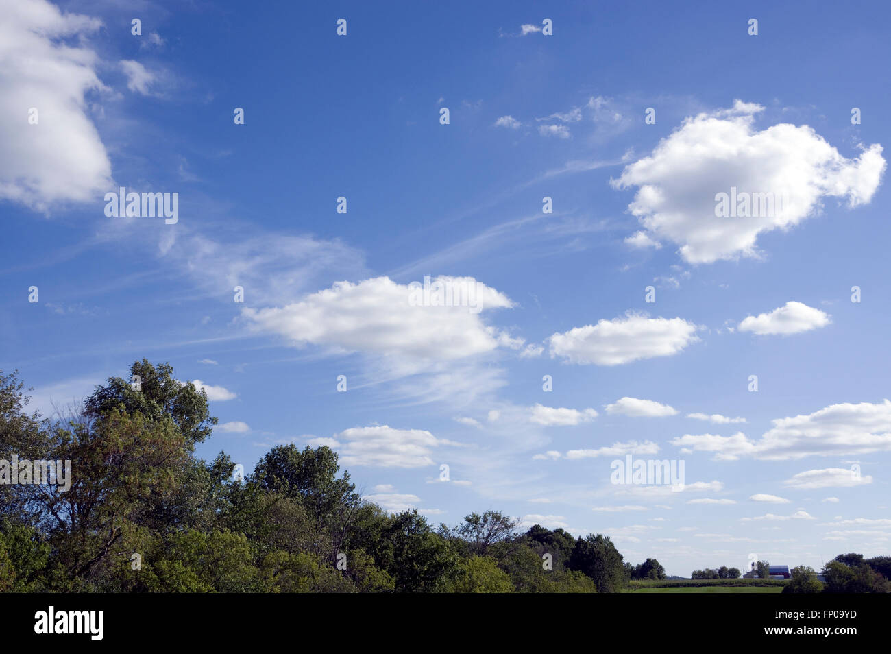 windswept skies, cumulus and cirrus clouds with fall streaks Stock
