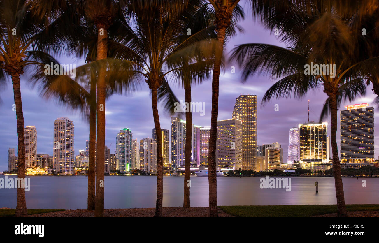 Twilight over Miami Skyline, Miami, Florida, USA Stock Photo