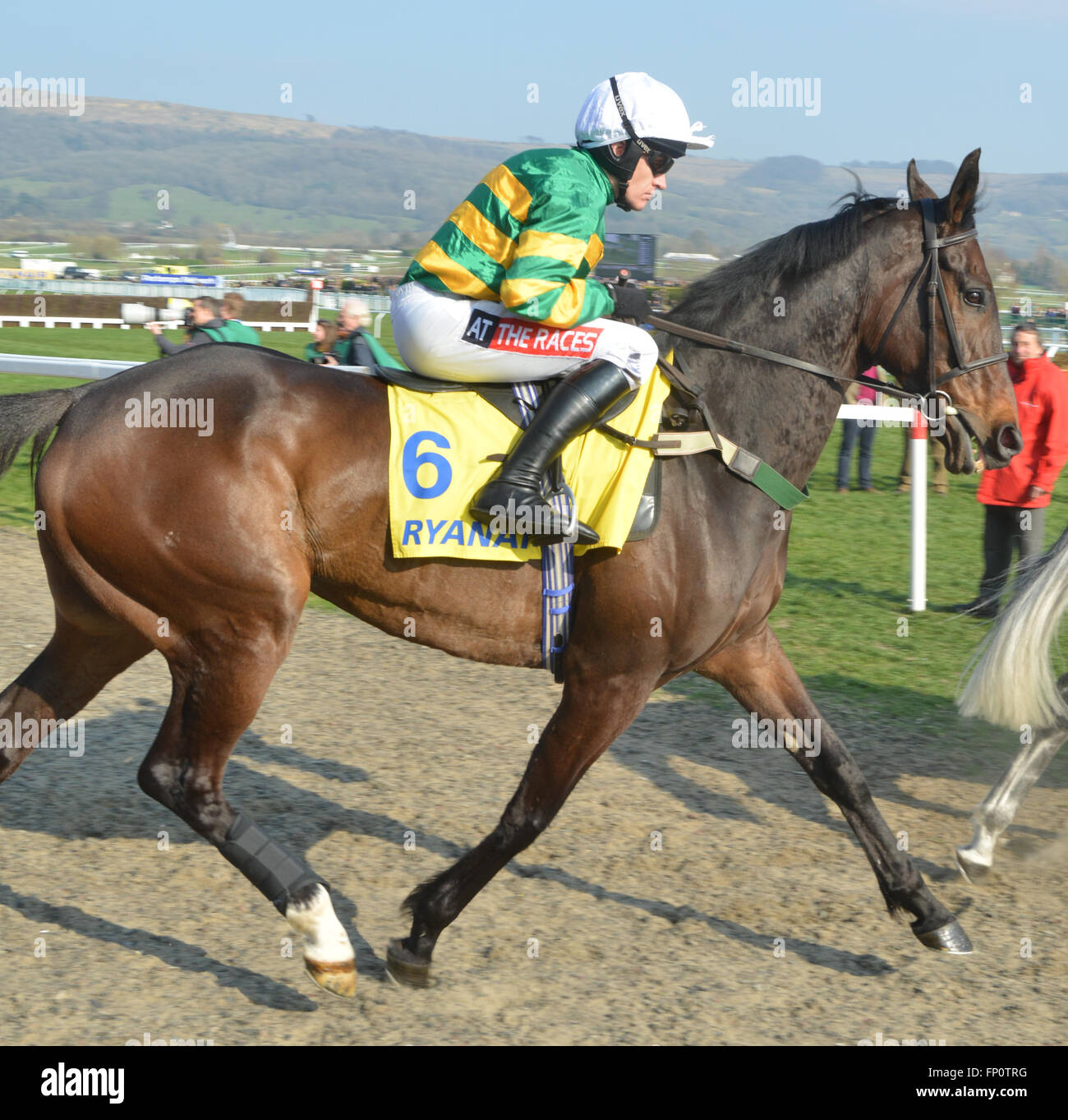 Cheltenham, Gloucestershire, UK. 17th Mar, 2016. Gilgamboa ridden by Barry Geraghty entering the course for the Ryanair Steeple Chase  at St Patrick's Thursday, Cheltenham Racecourse, Cheltenham, Gloucestershire.UK Credit:  jules annan/Alamy Live News Stock Photo