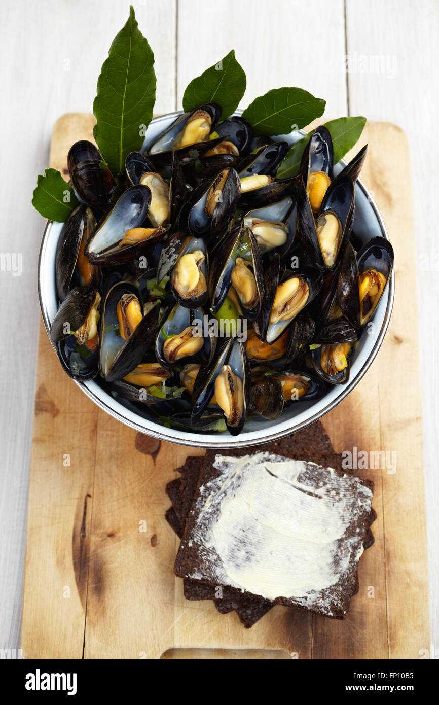 Homemade cooked mussels Stock Photo Alamy