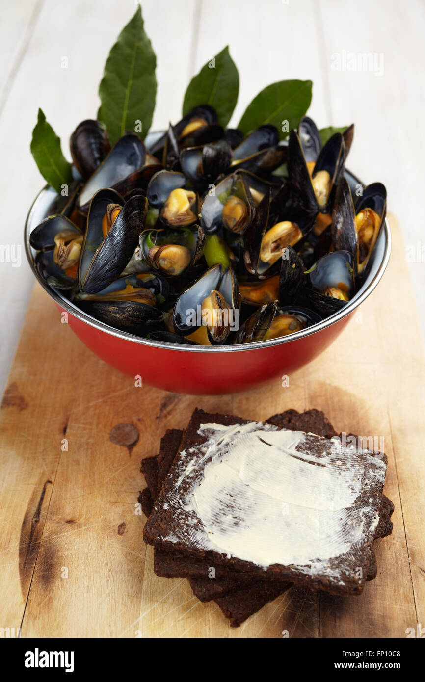 Homemade cooked mussels Stock Photo Alamy