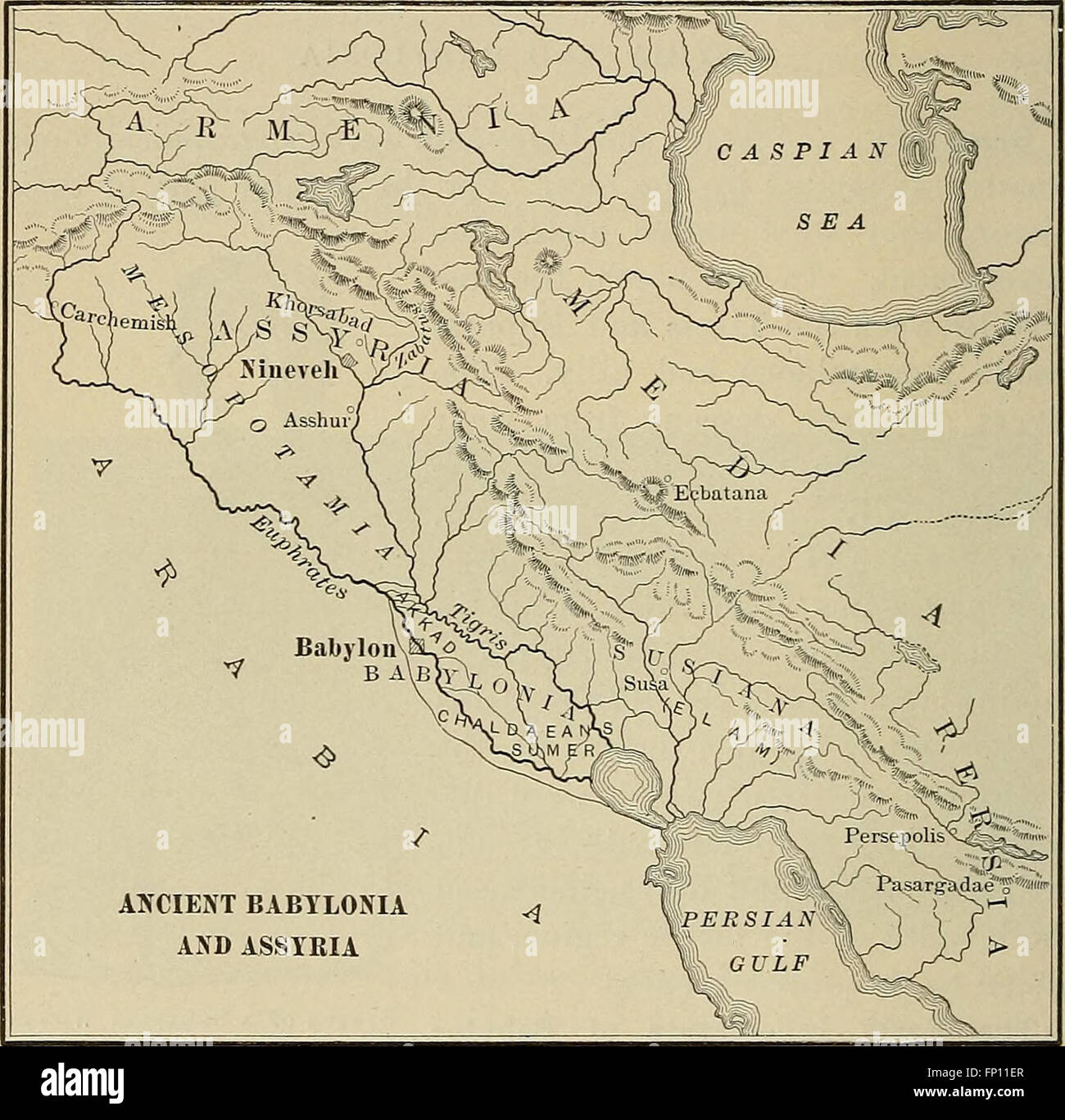 World History Development This book provides an overview of global history and the development of ...