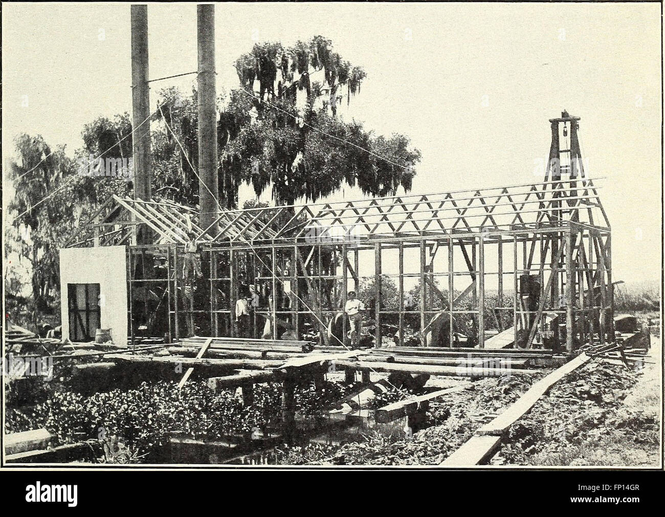 The wetlands of southern Louisiana and their drainage (1914 Stock Photo