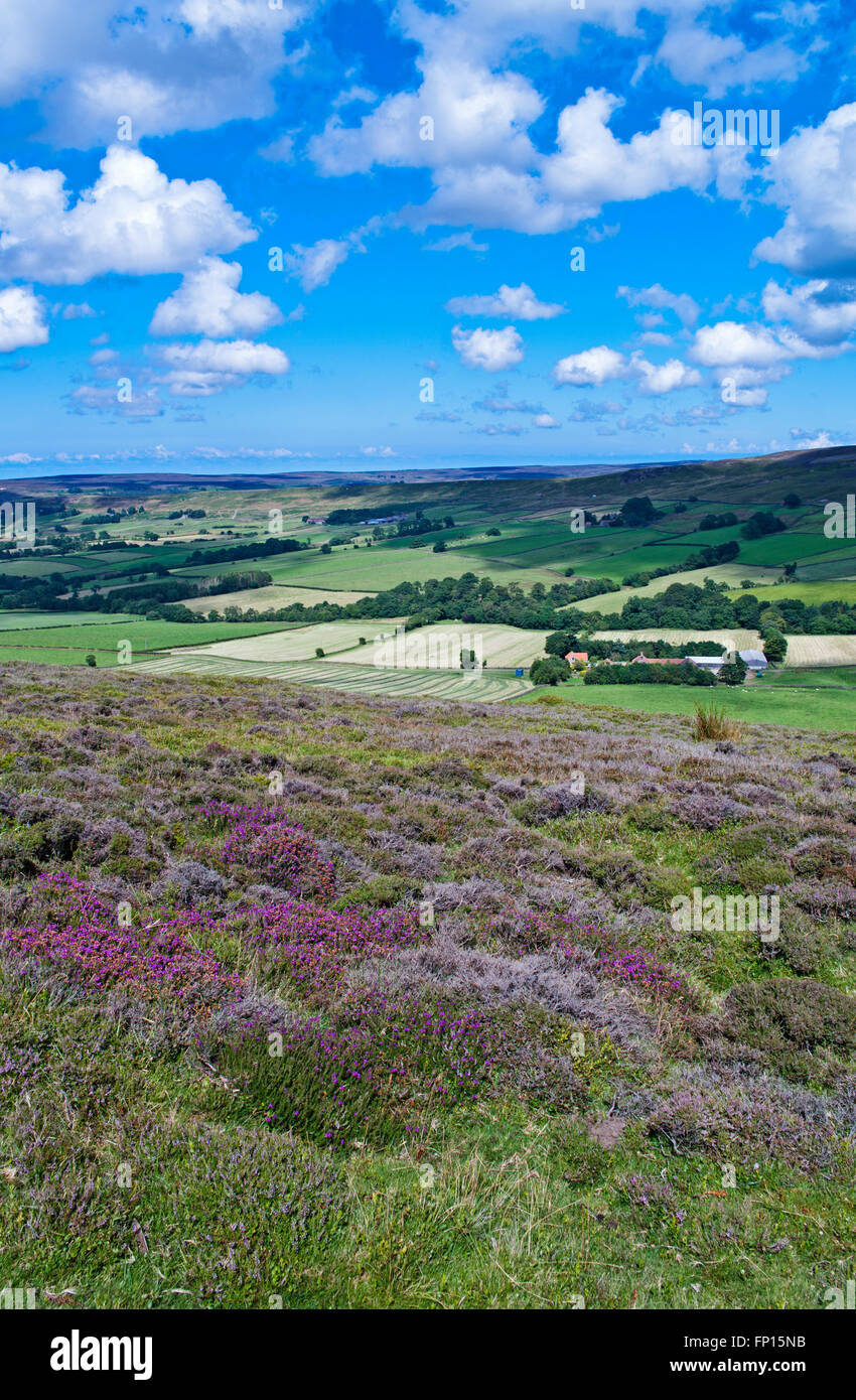View from heather moorland on Westerdale Moor over farmland towards Castleton Ridge, North York Moors, Yorkshire, England UK Stock Photo