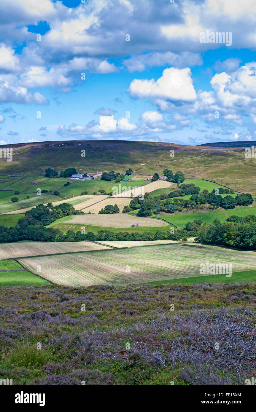 View from Westerdale Moor over farmland towards Castleton Ridge, patch