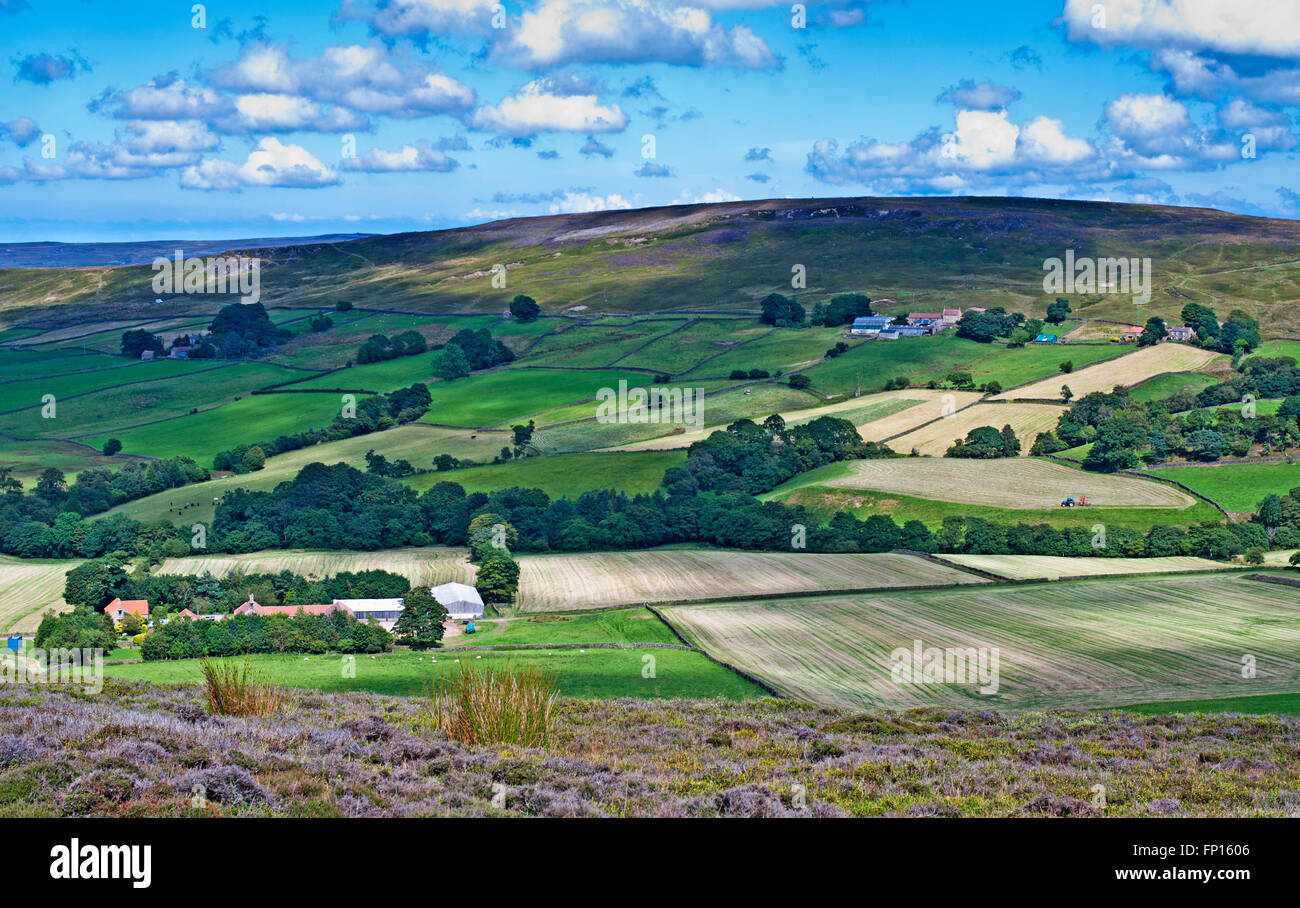 View from Westerdale Moor over farmland towards Castleton Ridge, summer, North York Moors, Yorkshire, England UK Stock Photo