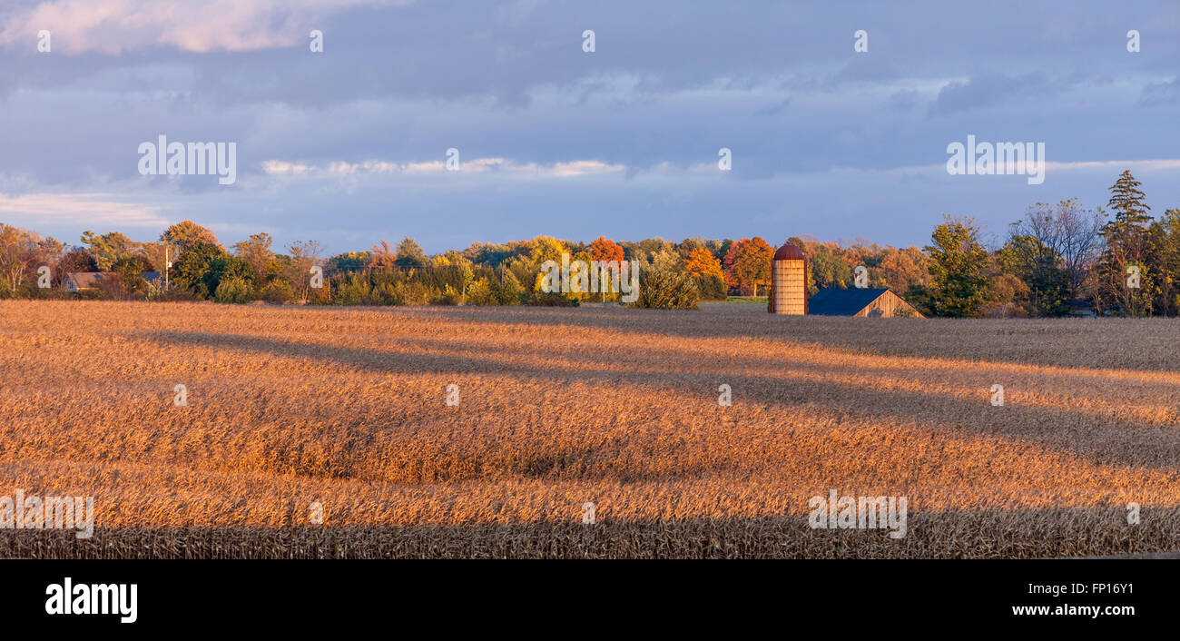 October Rural Sceans A rural scene in Southwestern Ontario, Canada showing fall colours as ...