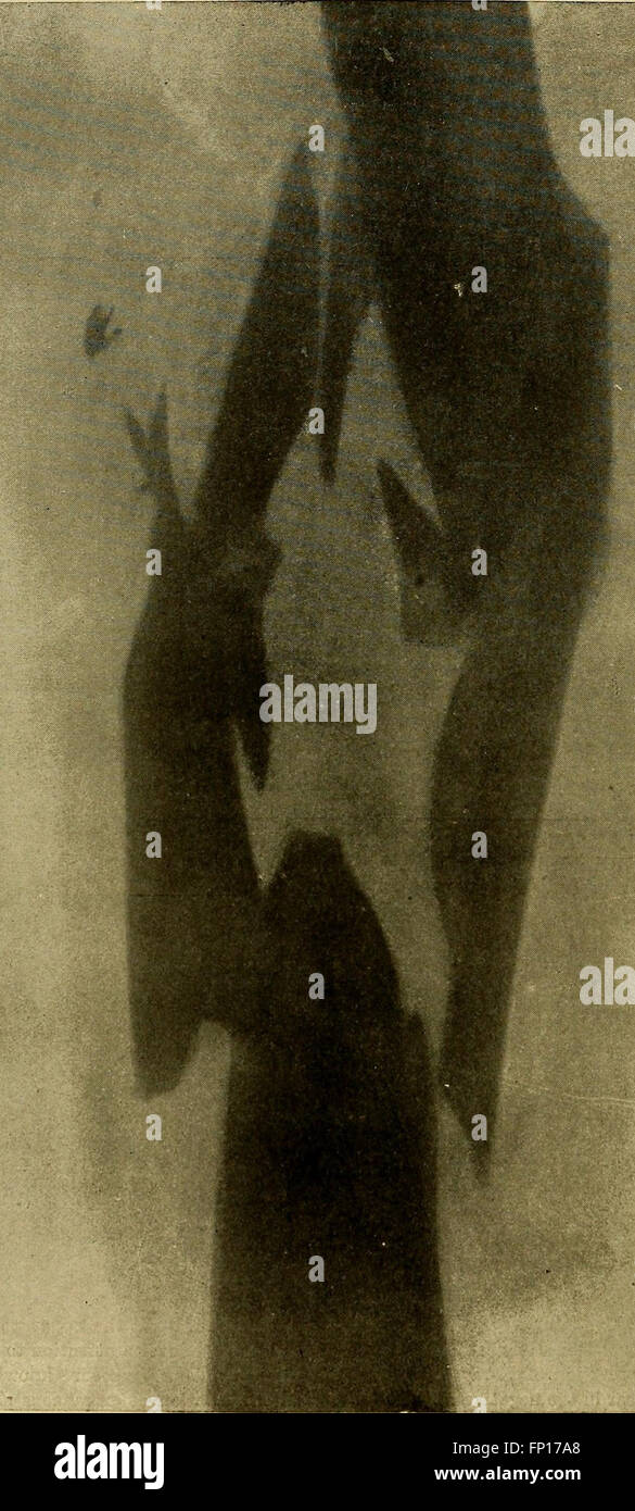 This instructional guide provides a visual and text-based system for ...