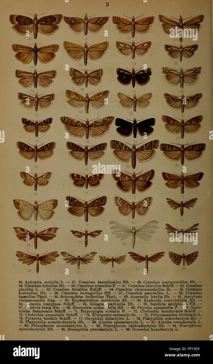 This work on German butterflies focuses on their biology, offering ...