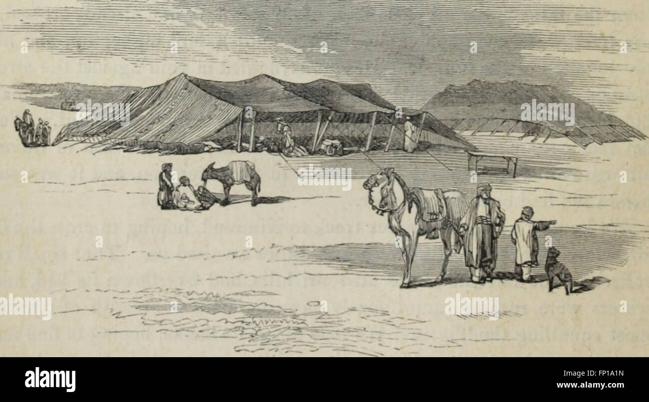 Discoveries among the ruins of Nineveh and Babylon; with travels in Armenia, Kurdistan and the desert- being the result of a second expedition undertaken for the Trustees of the British museum (1859) Stock Photo