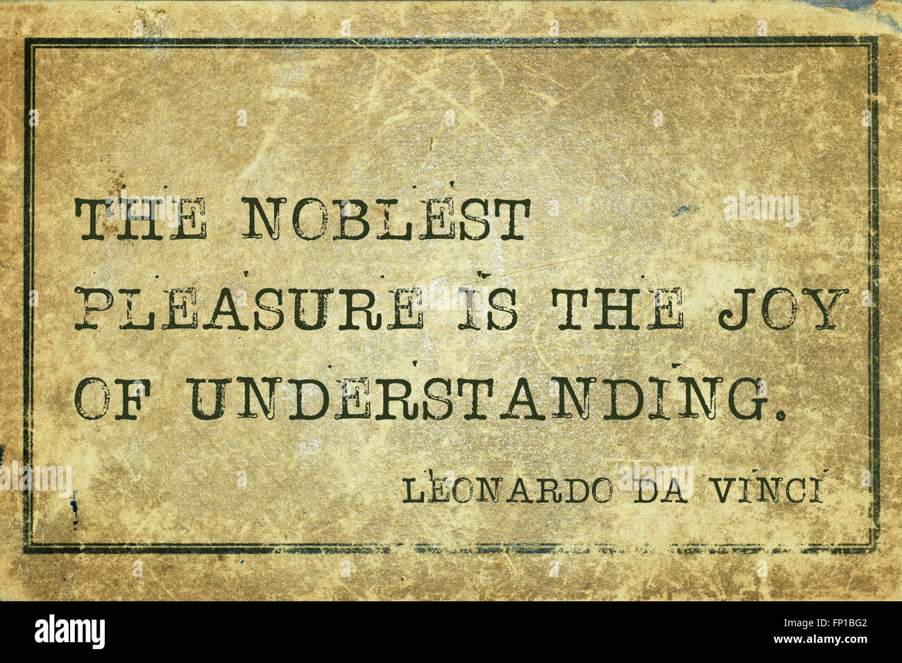 The noblest pleasure is the joy of understanding - ancient Italian artist Leonardo da Vinci quote printed on grunge vintage card Stock Photo