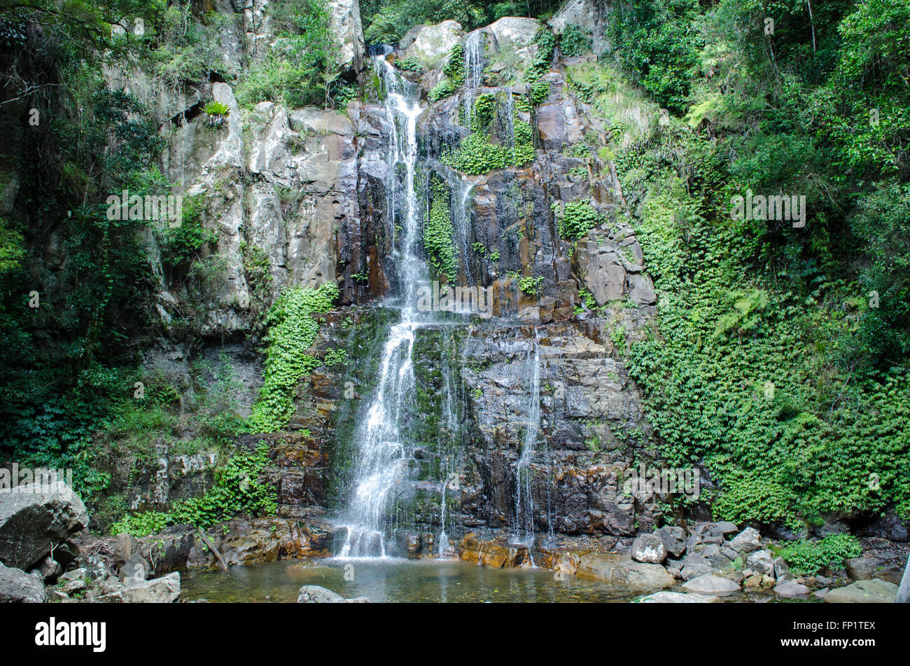 Minnamurra Falls, Buddaroo National Park. Stock Photo