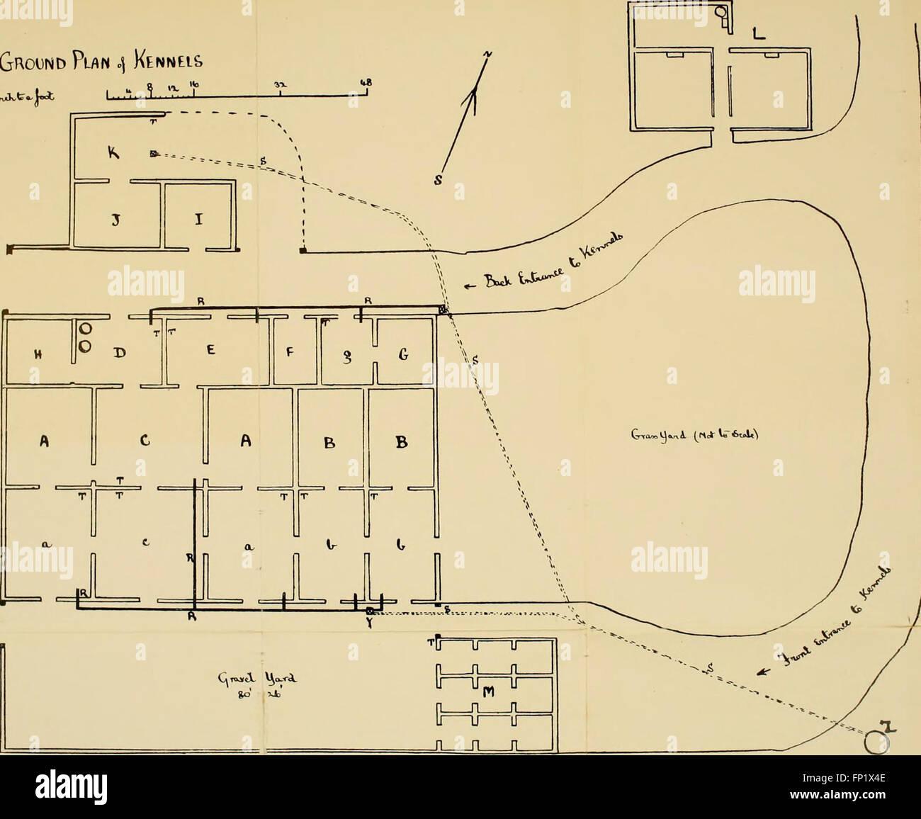 Hounds their breeding and kennel management (1905 Stock Photo Alamy