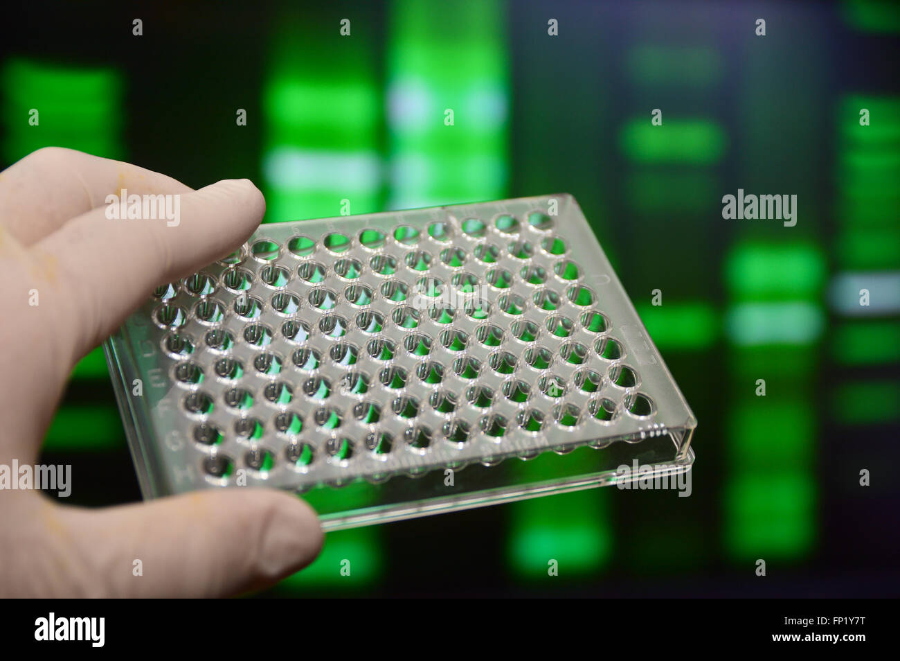 Well plate in the lab. Scientific research in the modern biological laboratory. Stock Photo