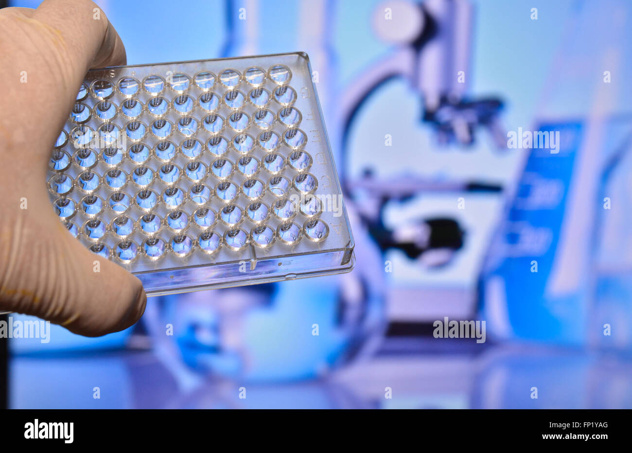 Well plate in the lab. Scientific research in the modern biological laboratory. Stock Photo