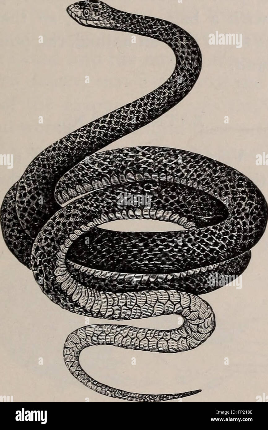 This 1895 text provides an overview of the natural history of various ...