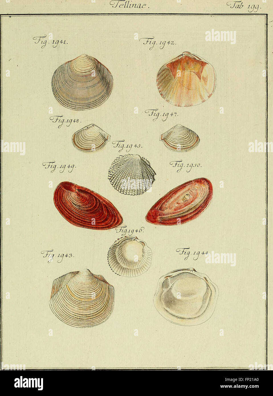 Systematic catalog hi-res stock photography and images - Alamy