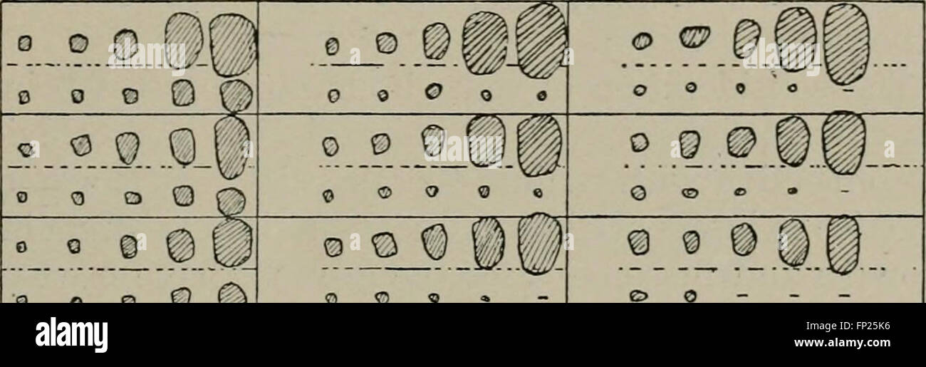 Radium, X rays and the living cell (1915 Stock Photo Alamy