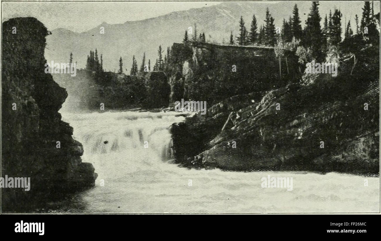 Rod and gun (1898 Stock Photo Alamy