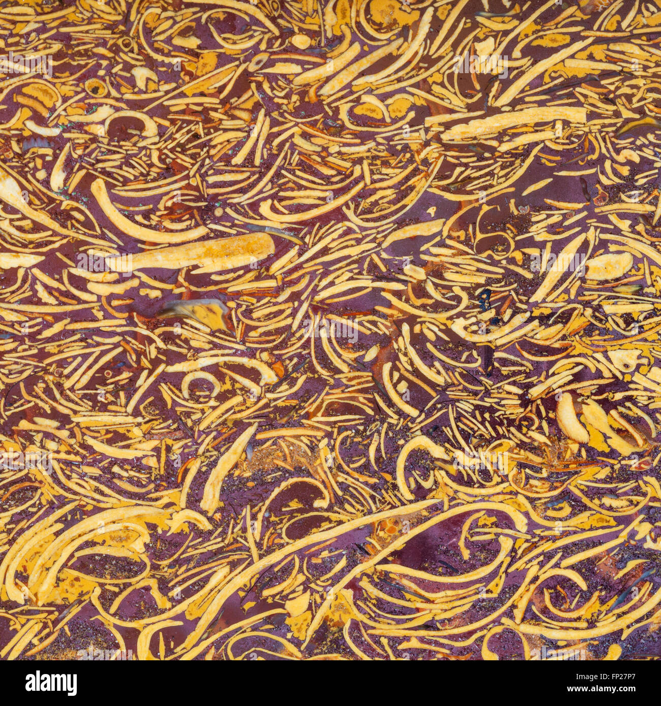 polished texture of natural gem stone Sea Fossil Jasper (Mariam Stone