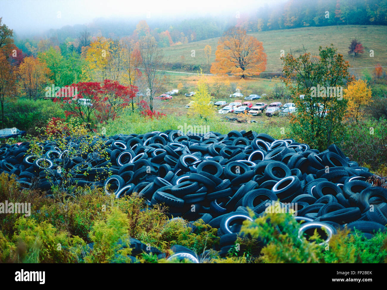 Old used automobile tires in landfill Stock Photo