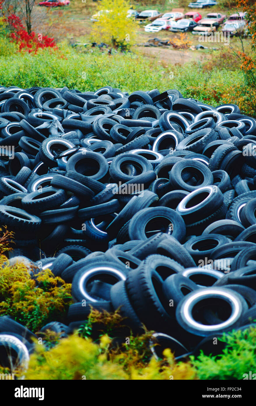 Old used automobile tires in landfill Stock Photo