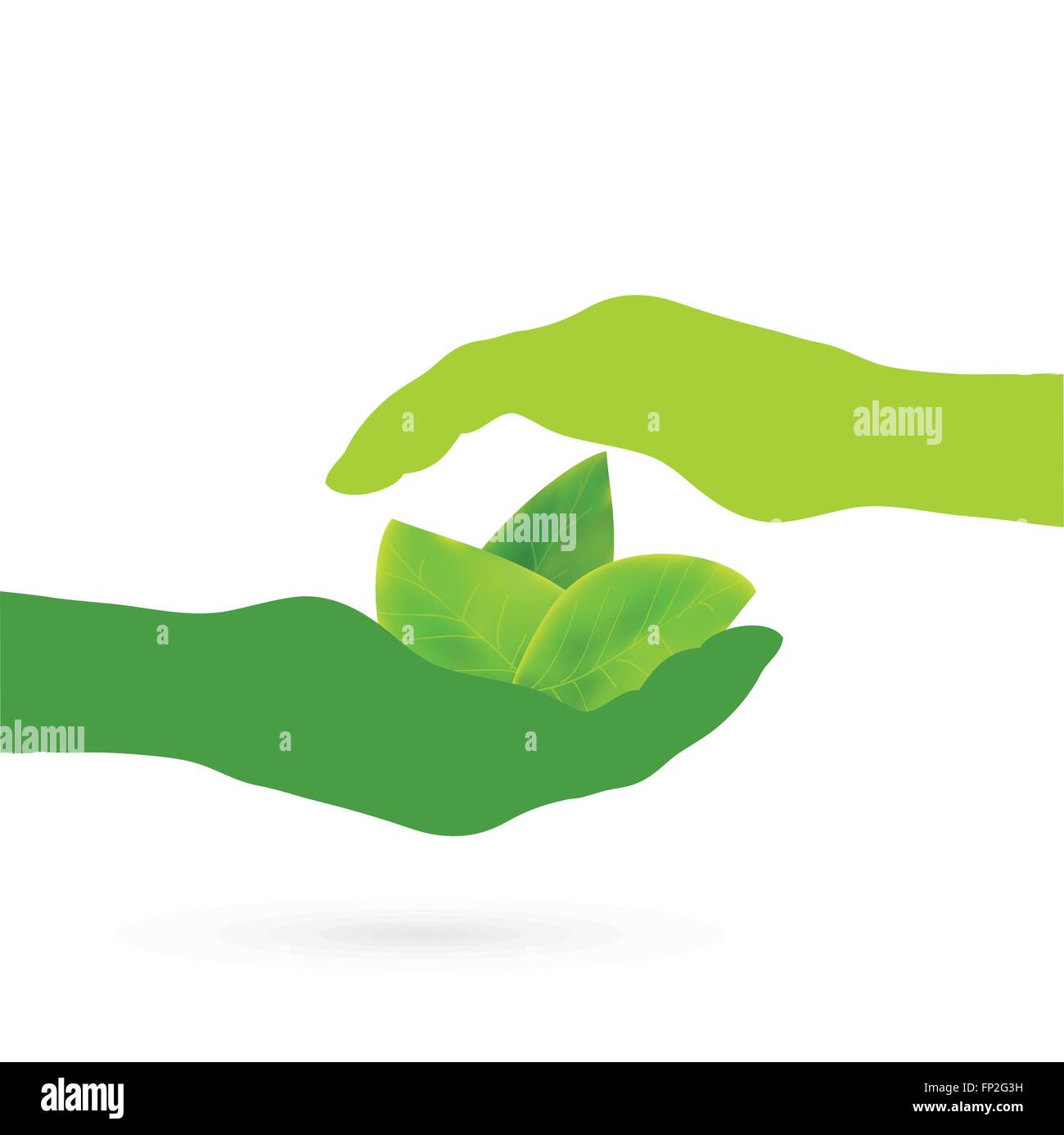 Illustration of hands holding leaves isolated on a white background ...