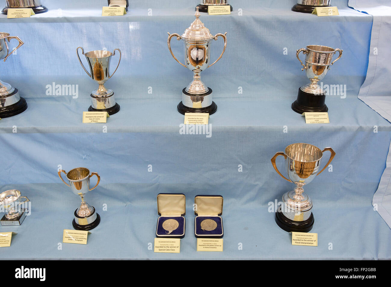 A selection of awards, cups and medals at a local flower and produce show in the UK. Stock Photo