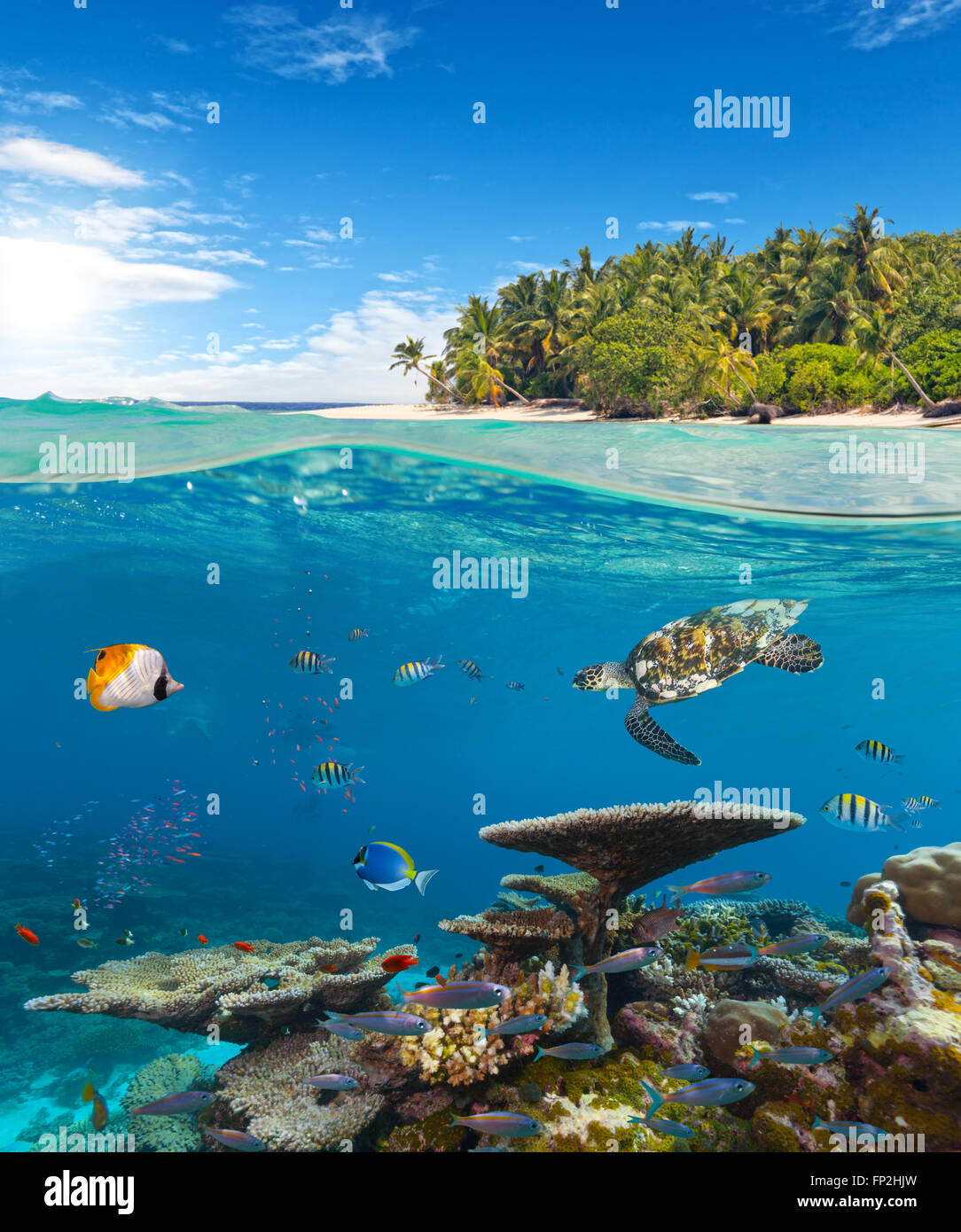 Underwater photography with tropical island Stock Photo Alamy