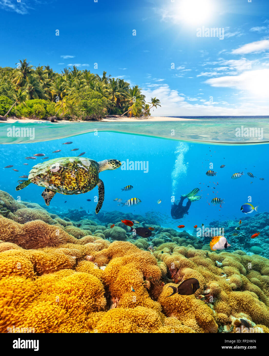 Underwater photography with tropical island Stock Photo