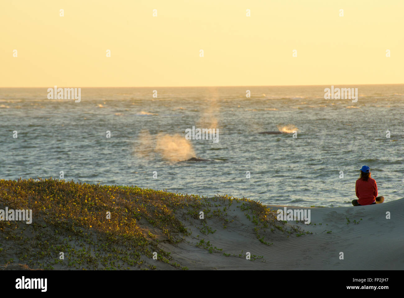Magdalena Island, Baja, Mexico. Woman sitting on beach sand dunes