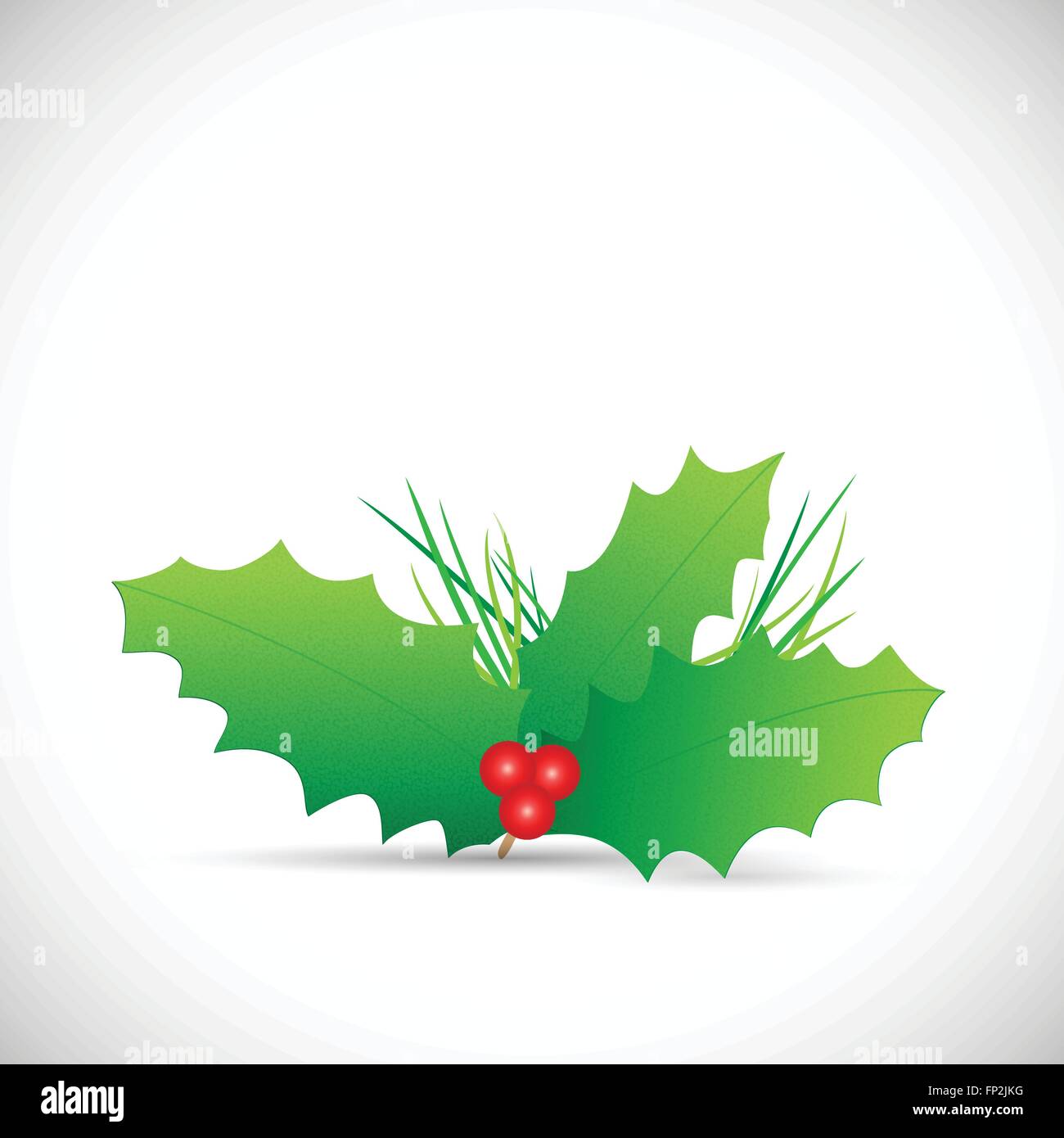 Illustration of Christmas holly isolated on a white background Stock ...