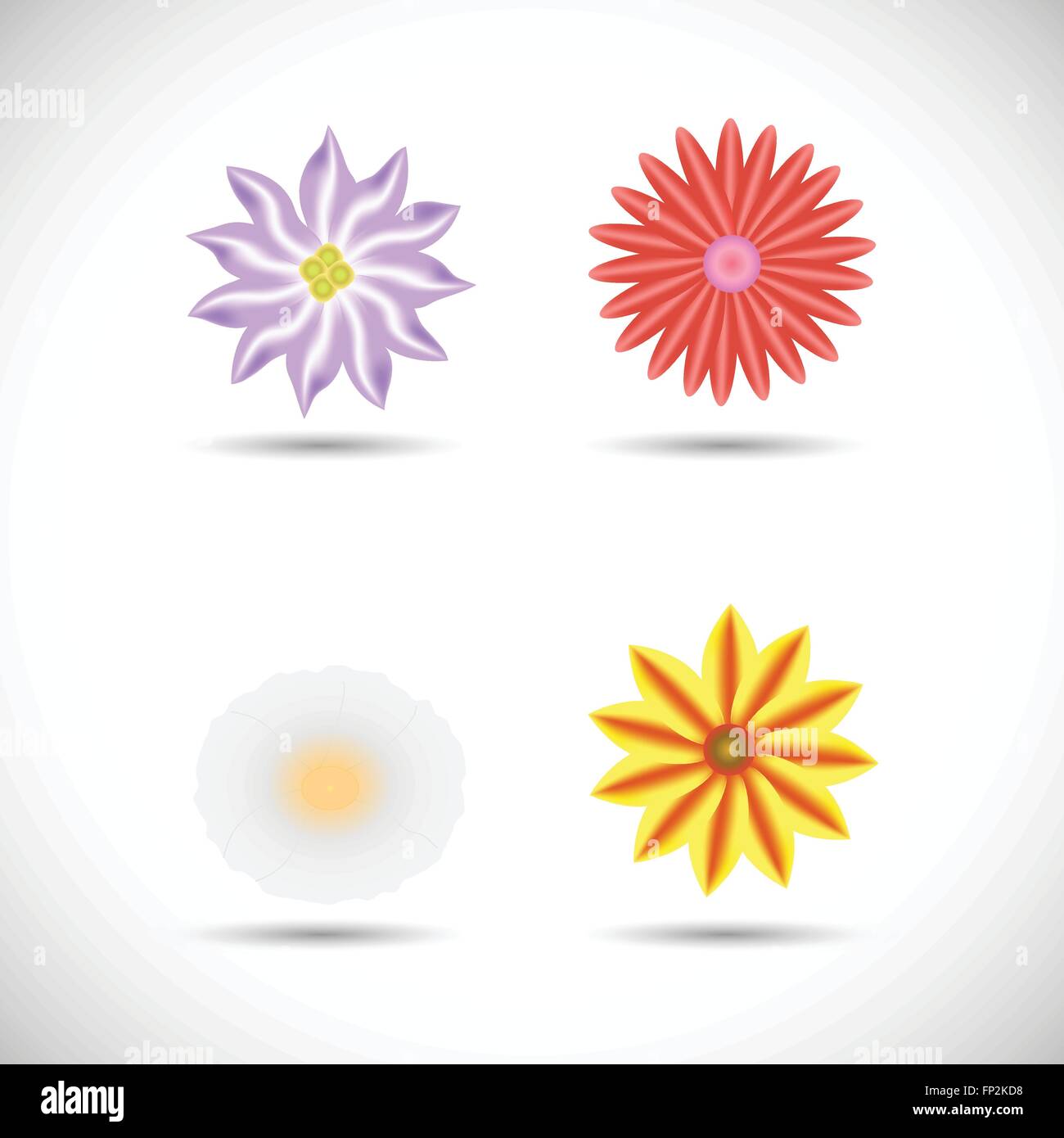 Illustration of colorful vector flowers isolated on a white background ...