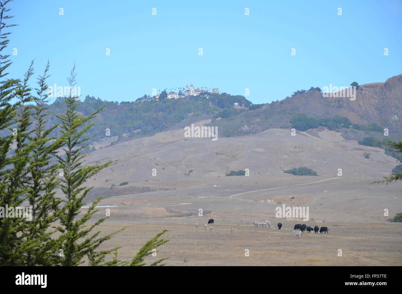 A distant view of Hearst Castle in San Simeon California, showing trees, zebras, and other animals in the foreground. Stock Photo