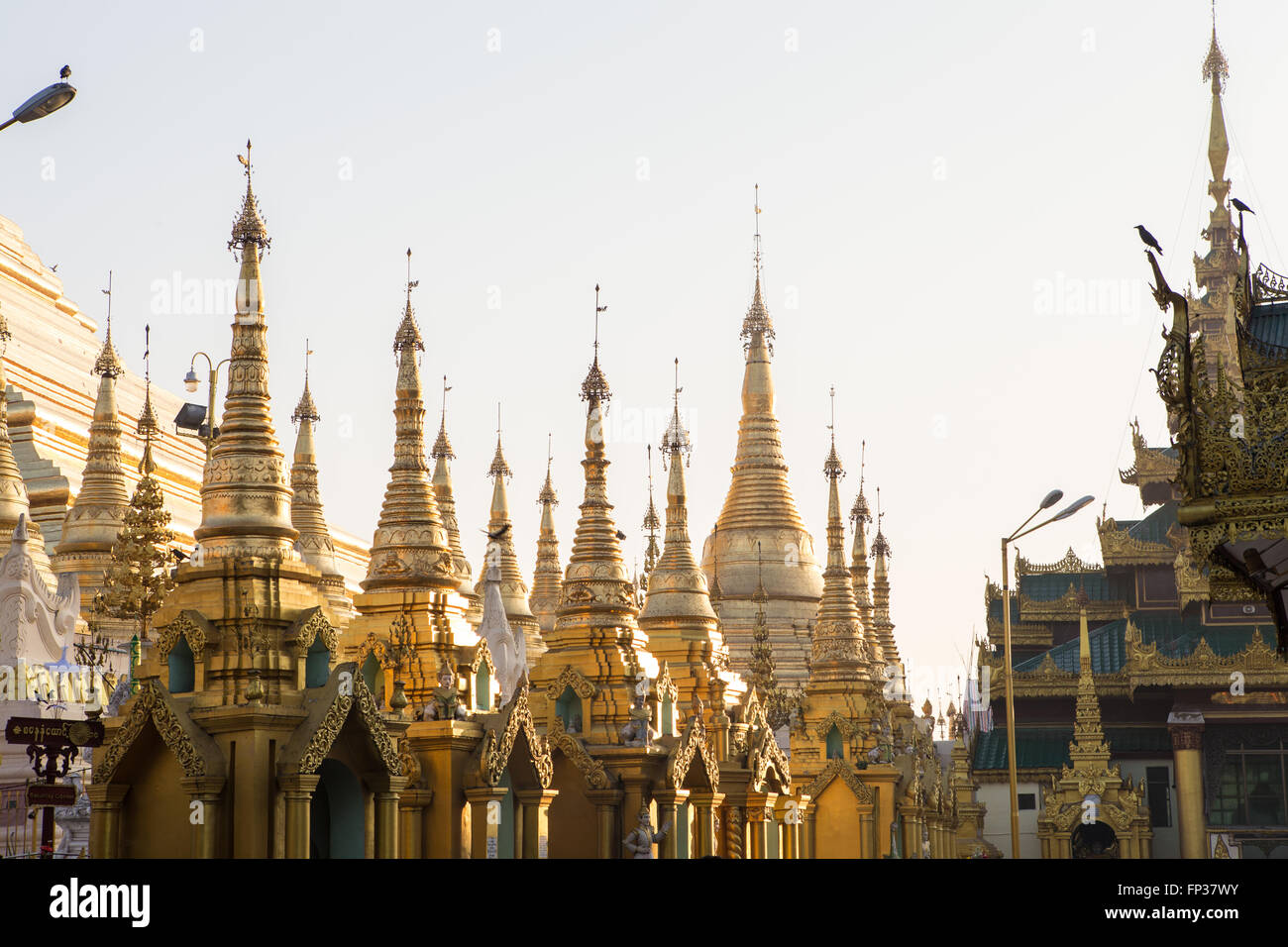 Shwedagon Pagoda skyline in Yangon, Myanmar (Asia Stock Photo - Alamy