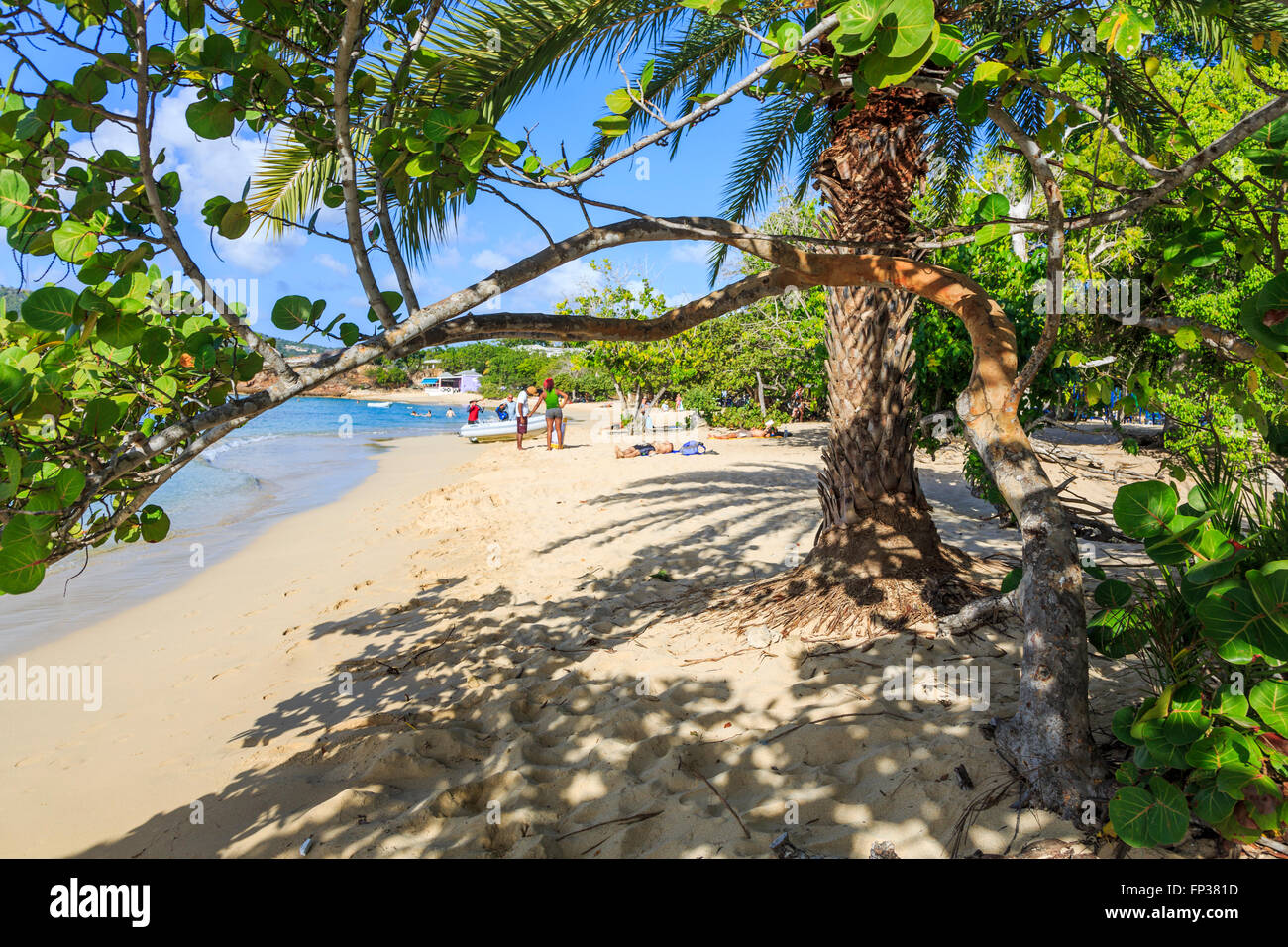 Sandy beach and shoreline at Pigeon Point on English Harbour south