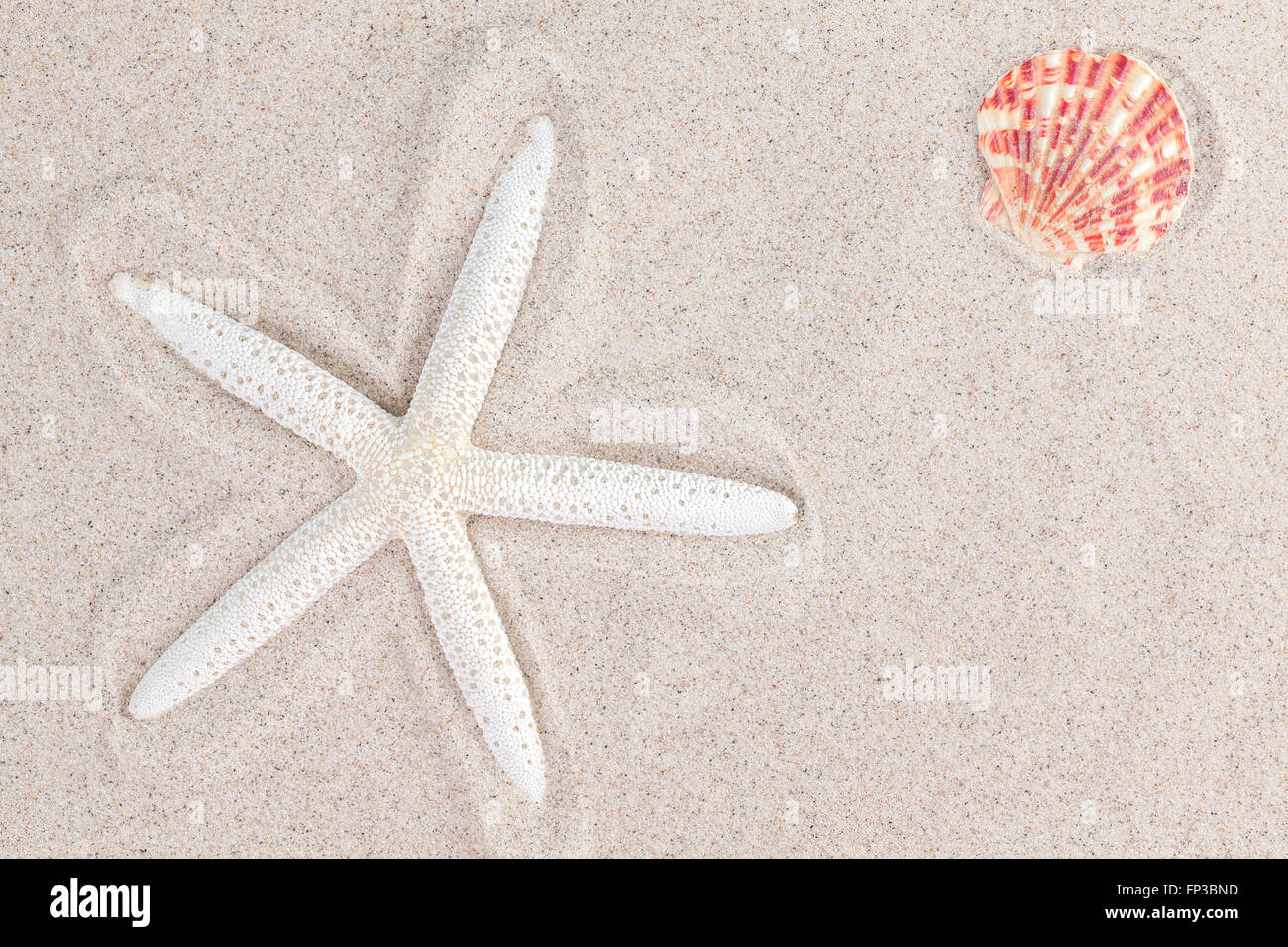 Starfish and a shell on sand, summer background. Stock Photo