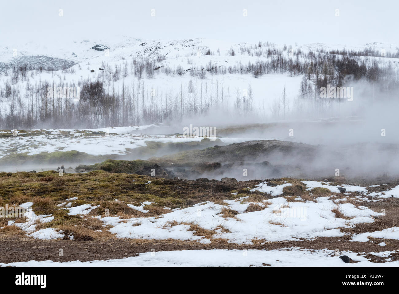 Steam escaping from the thermal pools at Geysir in Iceland Stock Photo