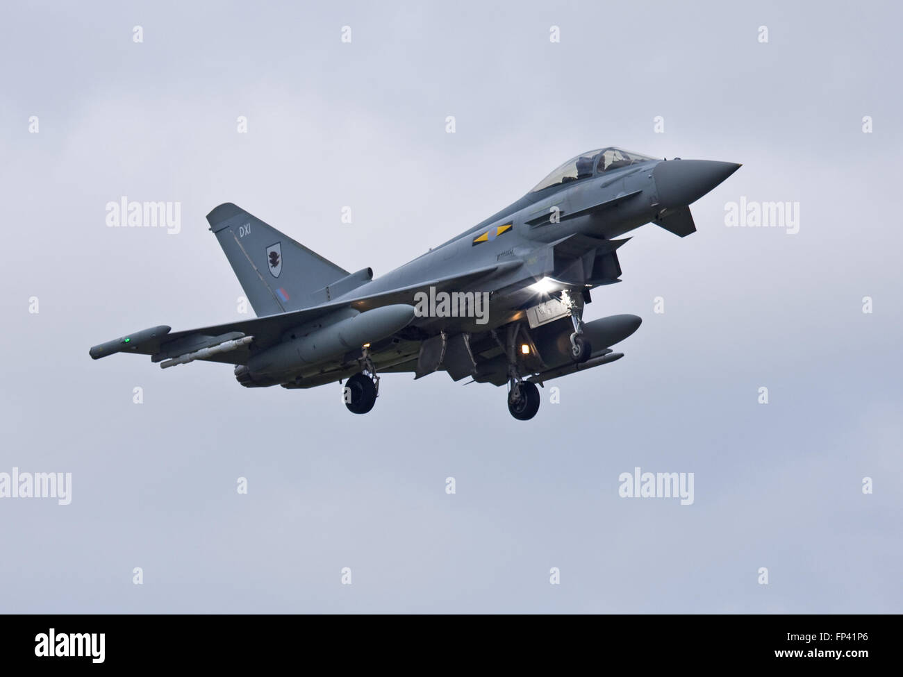 Typhoon DXI of No.11(F) Royal Air Force Stock Photo