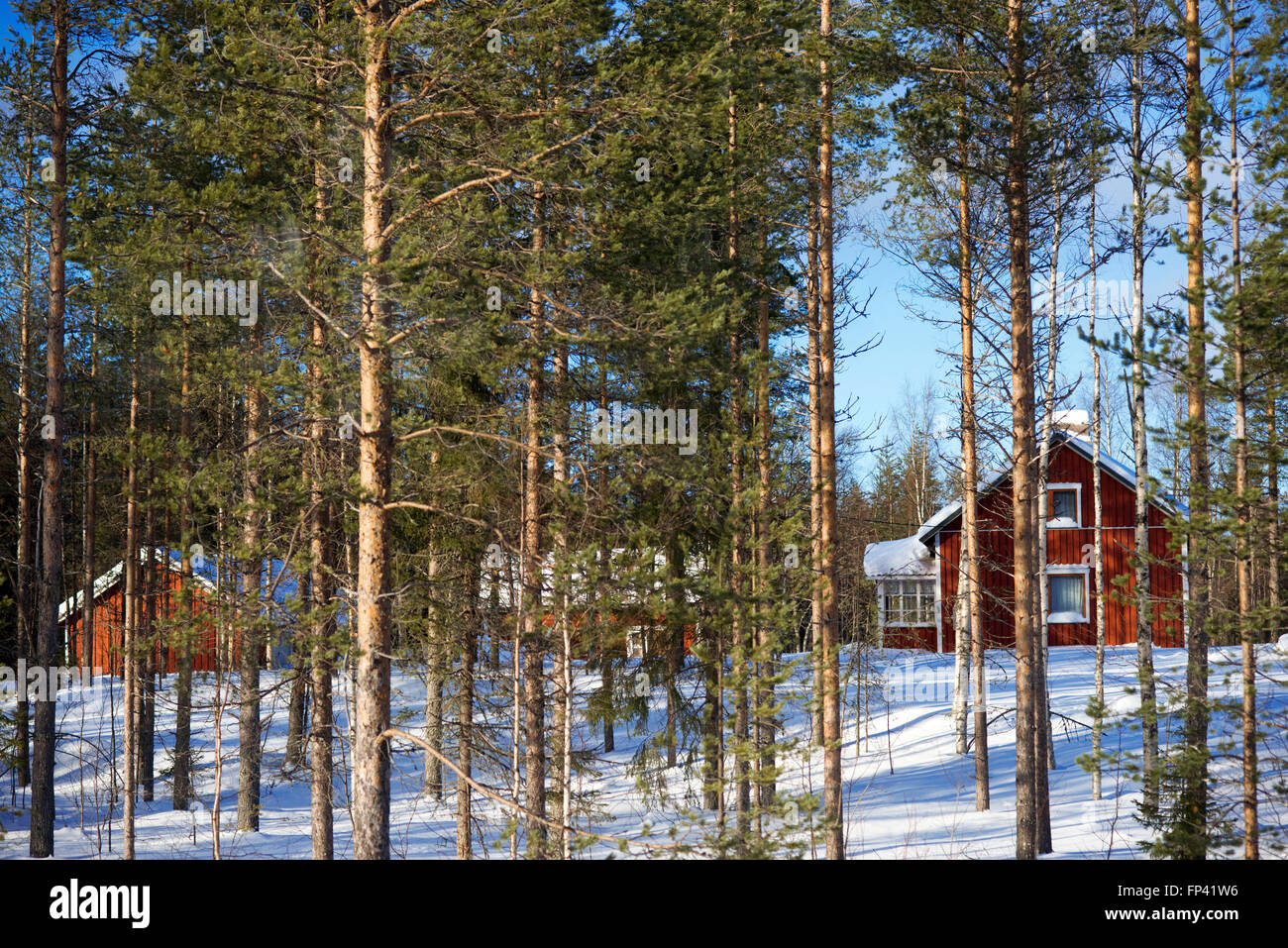 Typical houses and trees in the route to salla hires stock photography