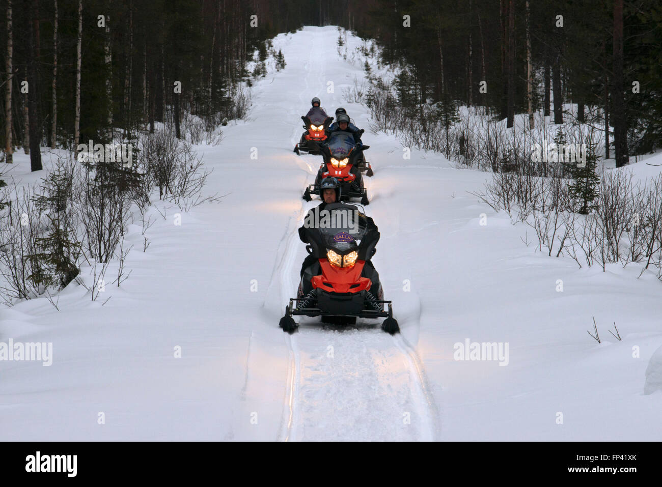 Snowmobiles safaris at Salla, Lapland, Finland. Guided snowmobile safaris are a safe way to explore the wilderness near and far. Stock Photo