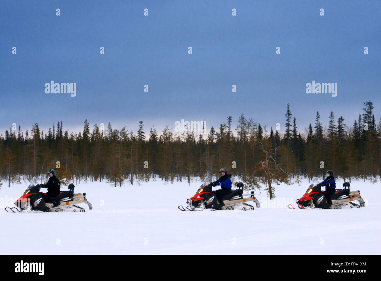 Snowmobiles safaris at Salla, Lapland, Finland. Guided snowmobile safaris are a safe way to explore the wilderness near and far. Stock Photo
