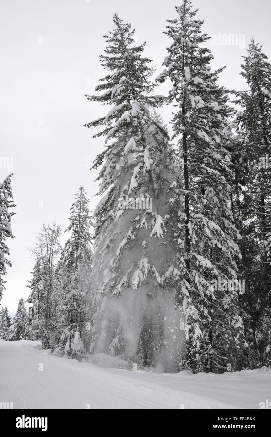 A winter mountain landscape in Mazama, Washington Stock Photo