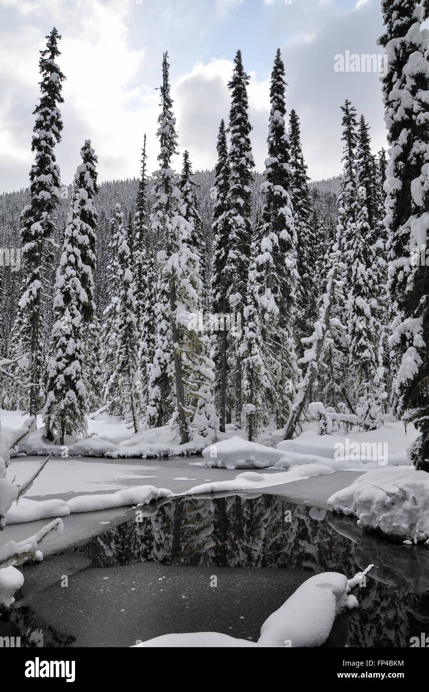 A winter mountain landscape with a lake in Mazama, Washington Stock Photo