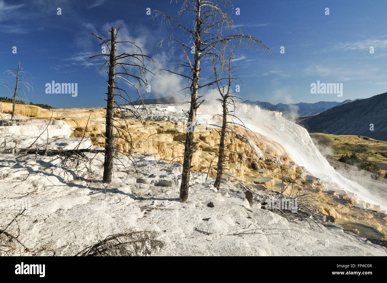 Mammoth Hot Springs in Yellowstone National Park Stock Photo