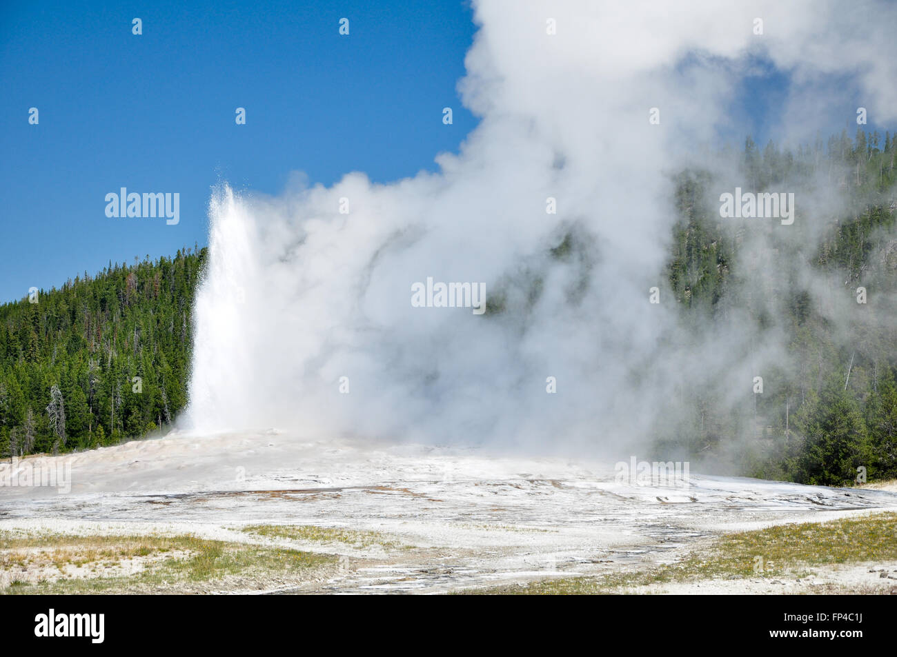 Old Faithful Geyser in Yellowstone National Park Stock Photo