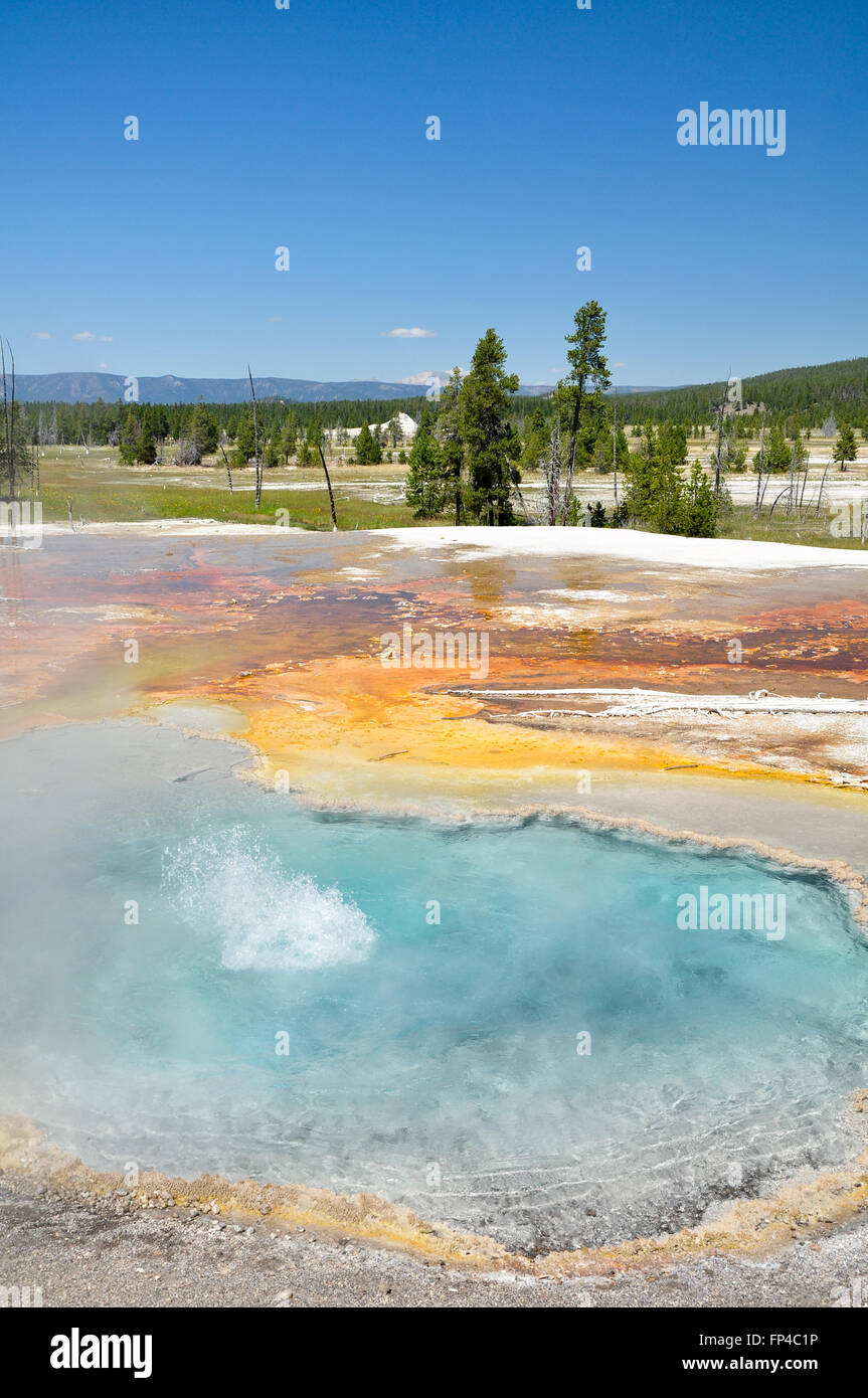 One of Yellowstone's colorful hot springs. Stock Photo