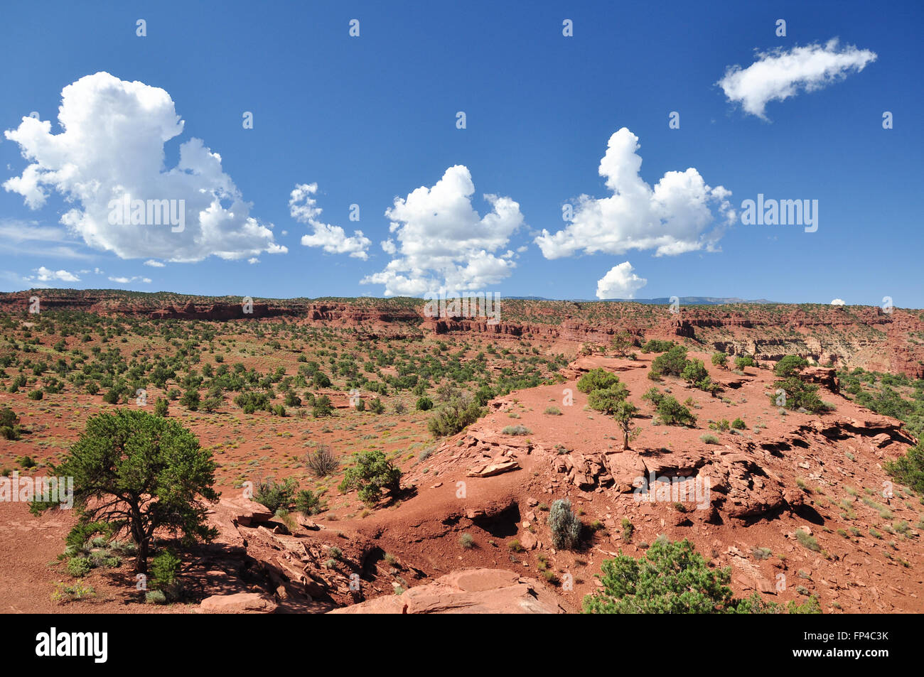 Red sand desert in Capitol Reef National Park Stock Photo